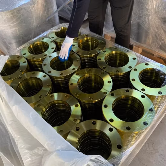 ANSI B16.5 Pn10 RF Steel A105 Th Flange for Plant Projects Use Stainless Steel Threaded Flange