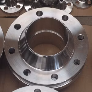 ASME/ANSI/DIN/GOST/BS Stainless Steel /Alloy Steel Carbon Steel Forged Wn Flange