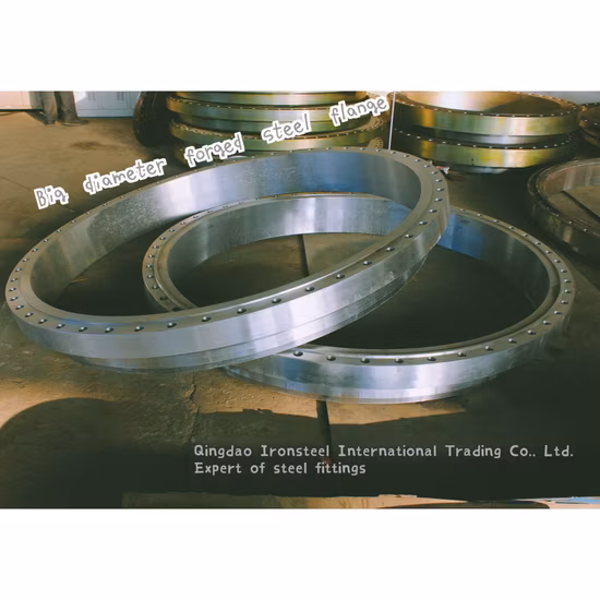 Big Size Forged Welding Neck Steel Flange by ANSI DIN Standard