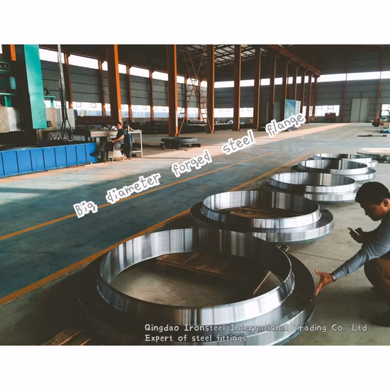 Big Size Forged Welding Neck Steel Flange by ANSI DIN Standard