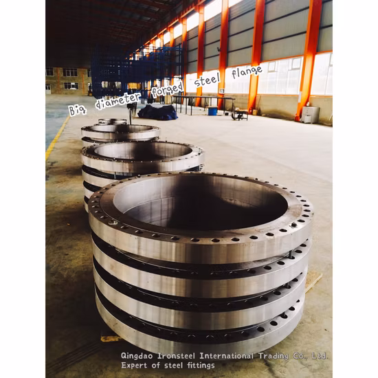Big Size Forged Welding Neck Steel Flange by ANSI DIN Standard