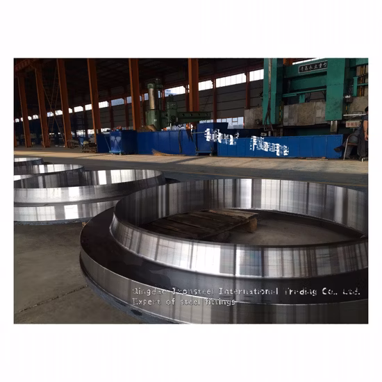 Big Size Forged Welding Neck Steel Flange by ANSI DIN Standard