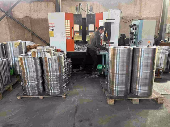 ANSI/DIN/GOST RF FF A105 304L 316L Wn/So/Blind Forged Steel Pipe Flange