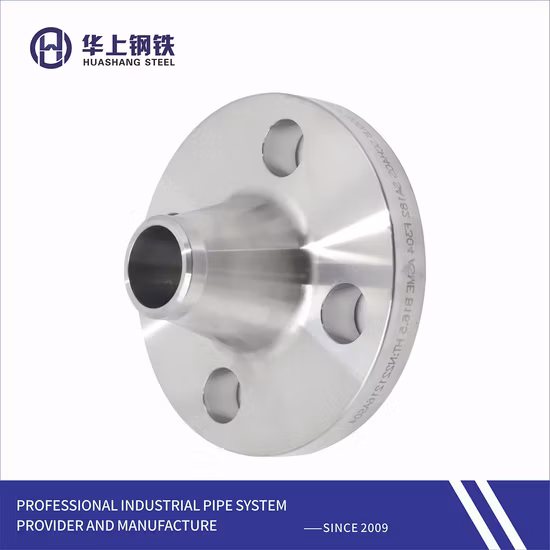 Factory ANSI/GOST/Duplex/ Ss/CS /Weld Neck Slip on/Blind/Threaded/Socket Weld/Plate/Spectacle Blind/Lwn/Orifice/Anchor Flange