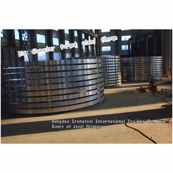 Big Size Forged Welding Neck Steel Flange by ANSI DIN Standard