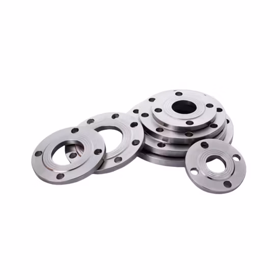 High Quality Stainless Steel Forged Plate Flange Flat Flange