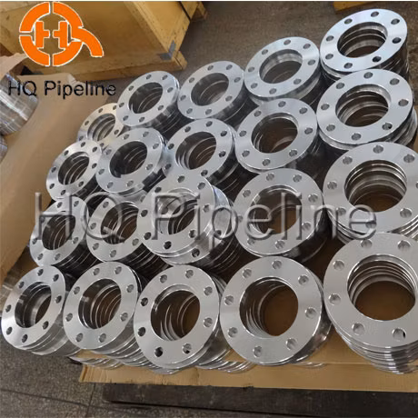 ANSI Customized Steel Stainless Welding Blind Threaded Forging Forged Flange